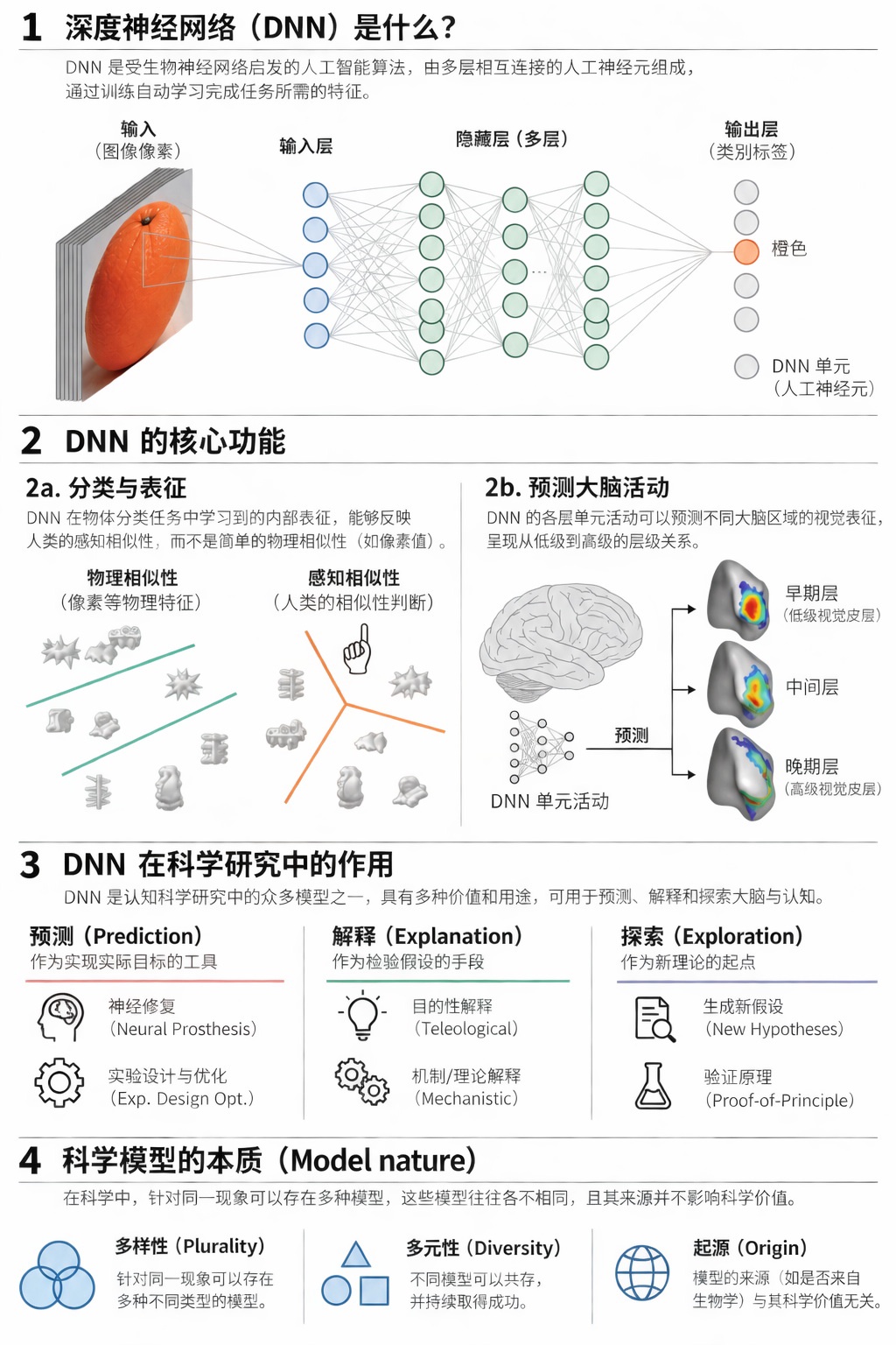AI本质是模拟人脑，所以才会胡说八道