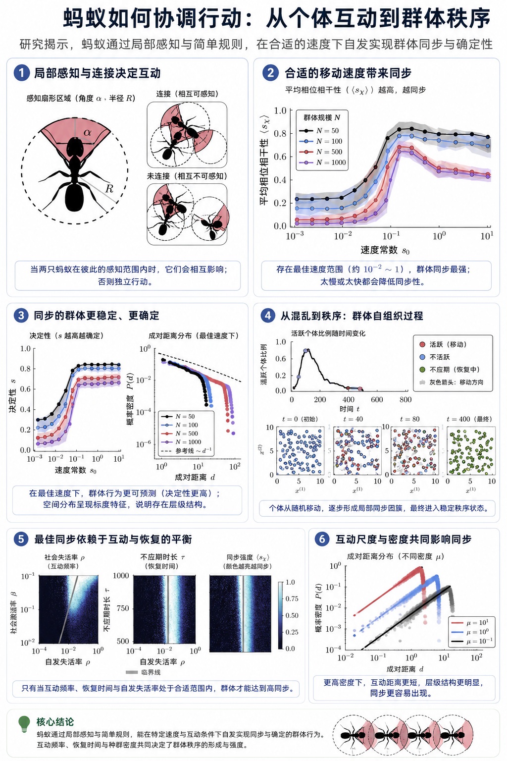 科学家终于开始理解蚂蚁群落的触发机制