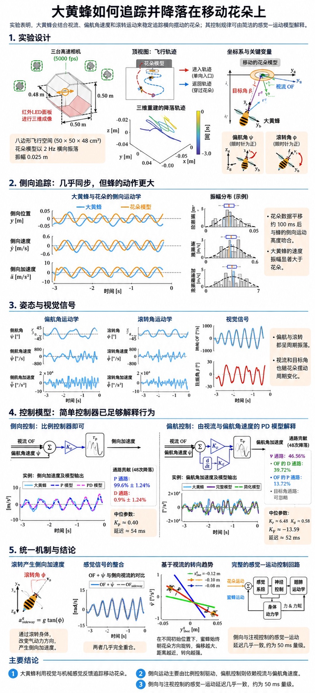 大黄蜂如何在摇晃的花朵上精准着陆