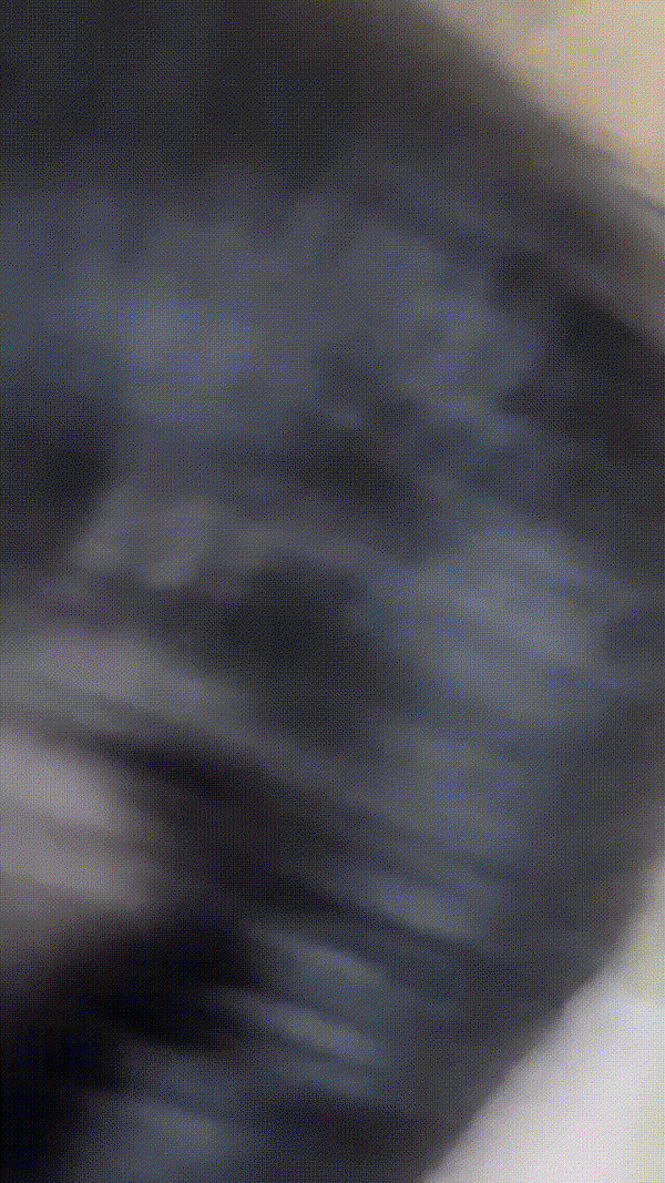 无聊图 No.20863 第 1 张